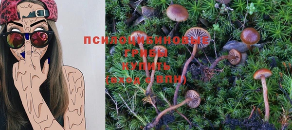 mix Корсаков