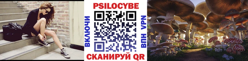Купить Куйбышев Галлюциногенные грибы мицелий